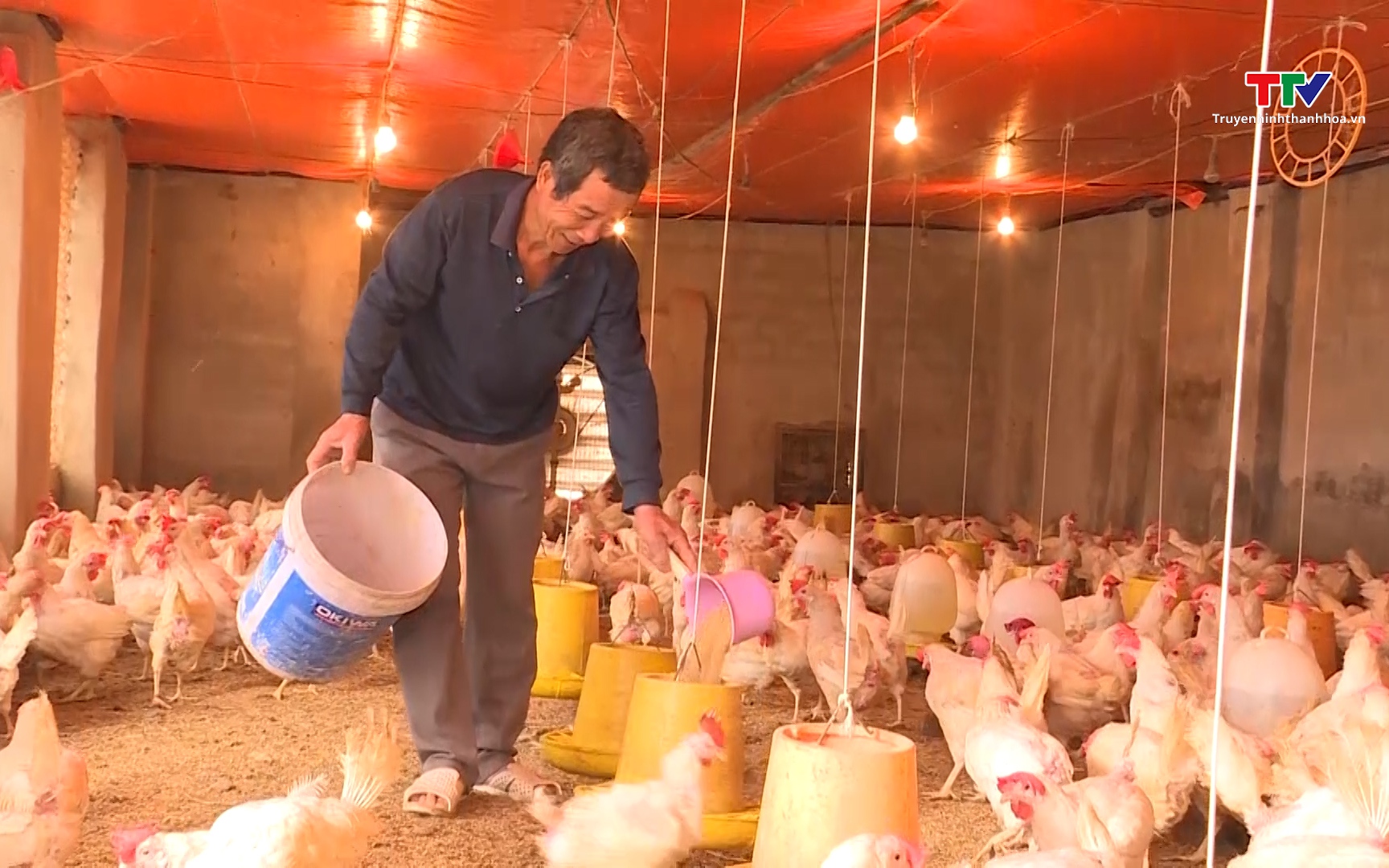 Đ&aacute;p ứng kịp thời vốn t&iacute;n dụng cho hộ ngh&egrave;o v&agrave; c&aacute;c đối tượng ch&iacute;nh s&aacute;ch