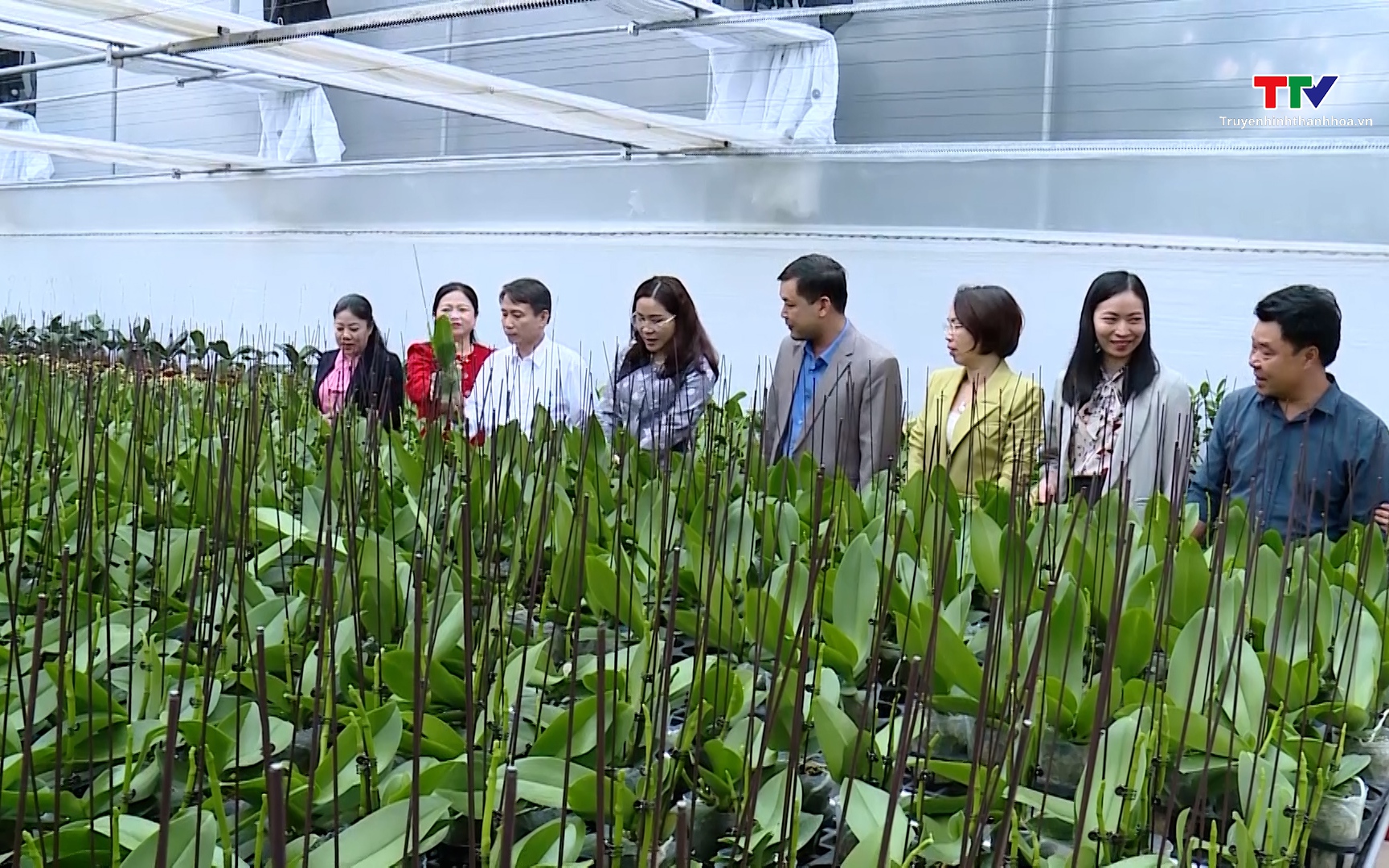 Ph&aacute;t huy vai tr&ograve; của Hợp t&aacute;c x&atilde; trong ứng dụng khoa học c&ocirc;ng nghệ