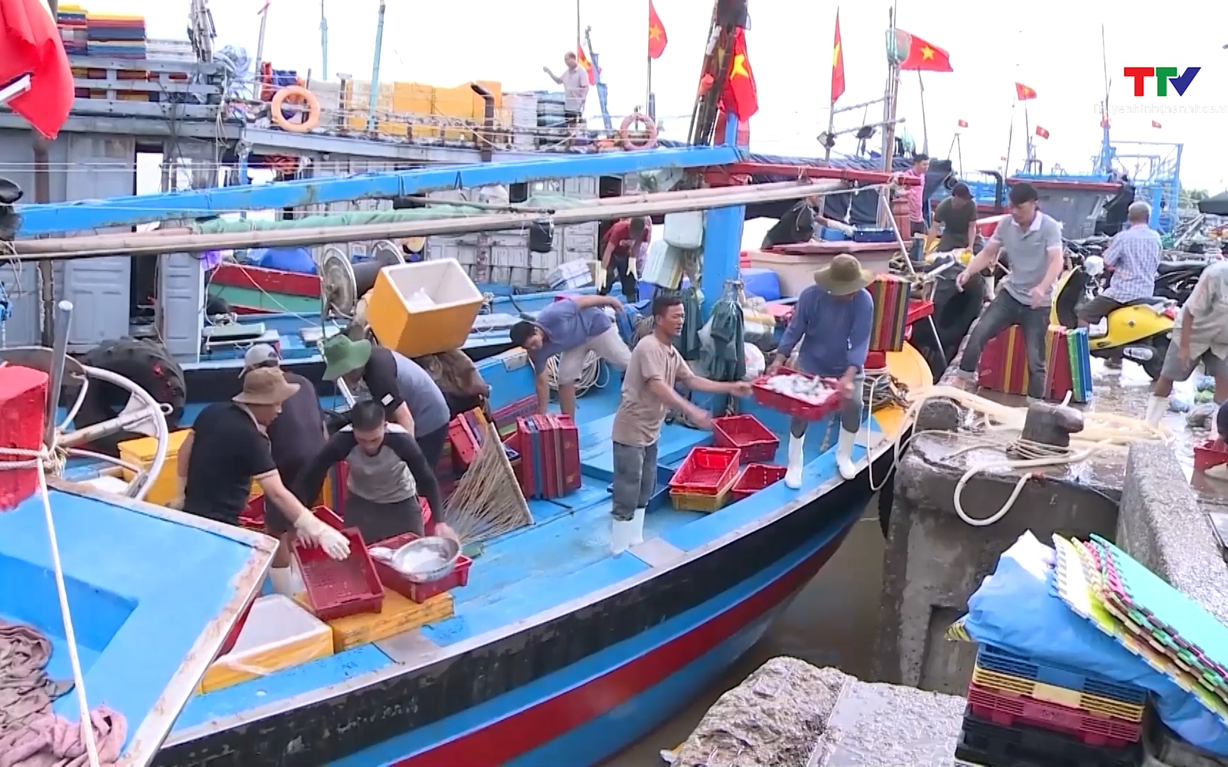 Thanh H&oacute;a: Khai th&aacute;c thủy sản năm 2025 đạt tr&ecirc;n 140 ngh&igrave;n tấn