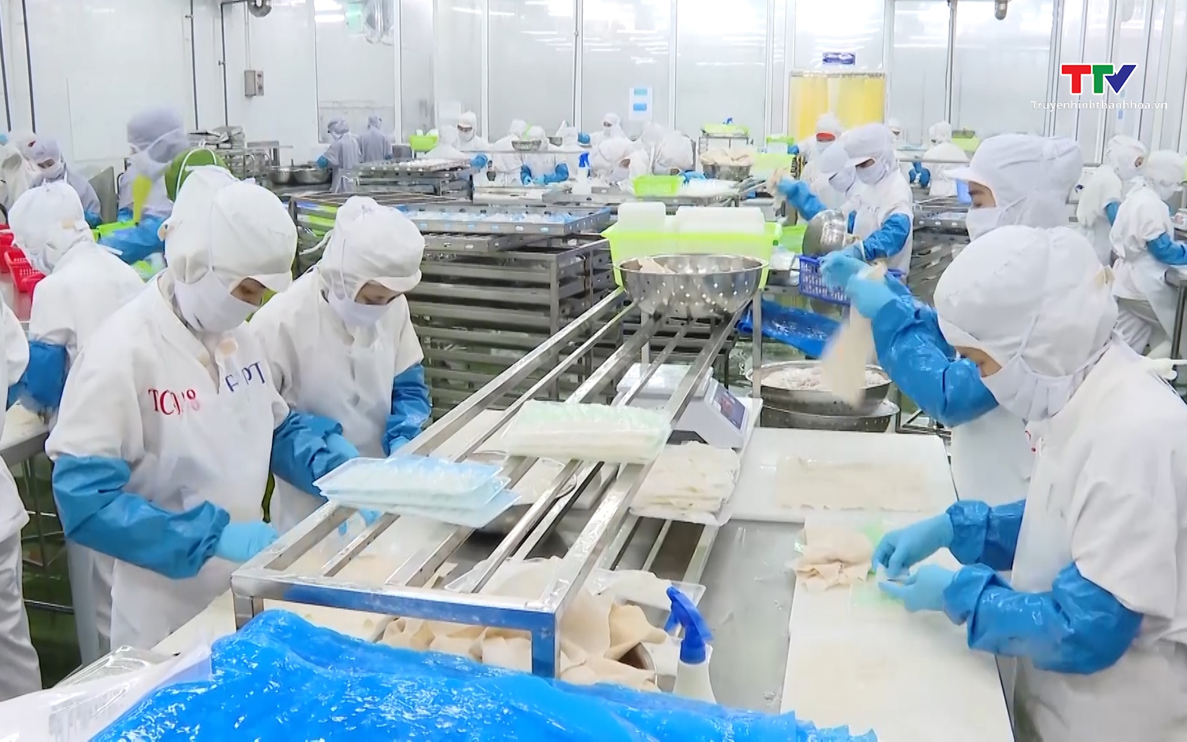 Xuất khẩu nông, lâm, thủy sản của Thanh Hóa tăng 10,7% so với cùng kỳ