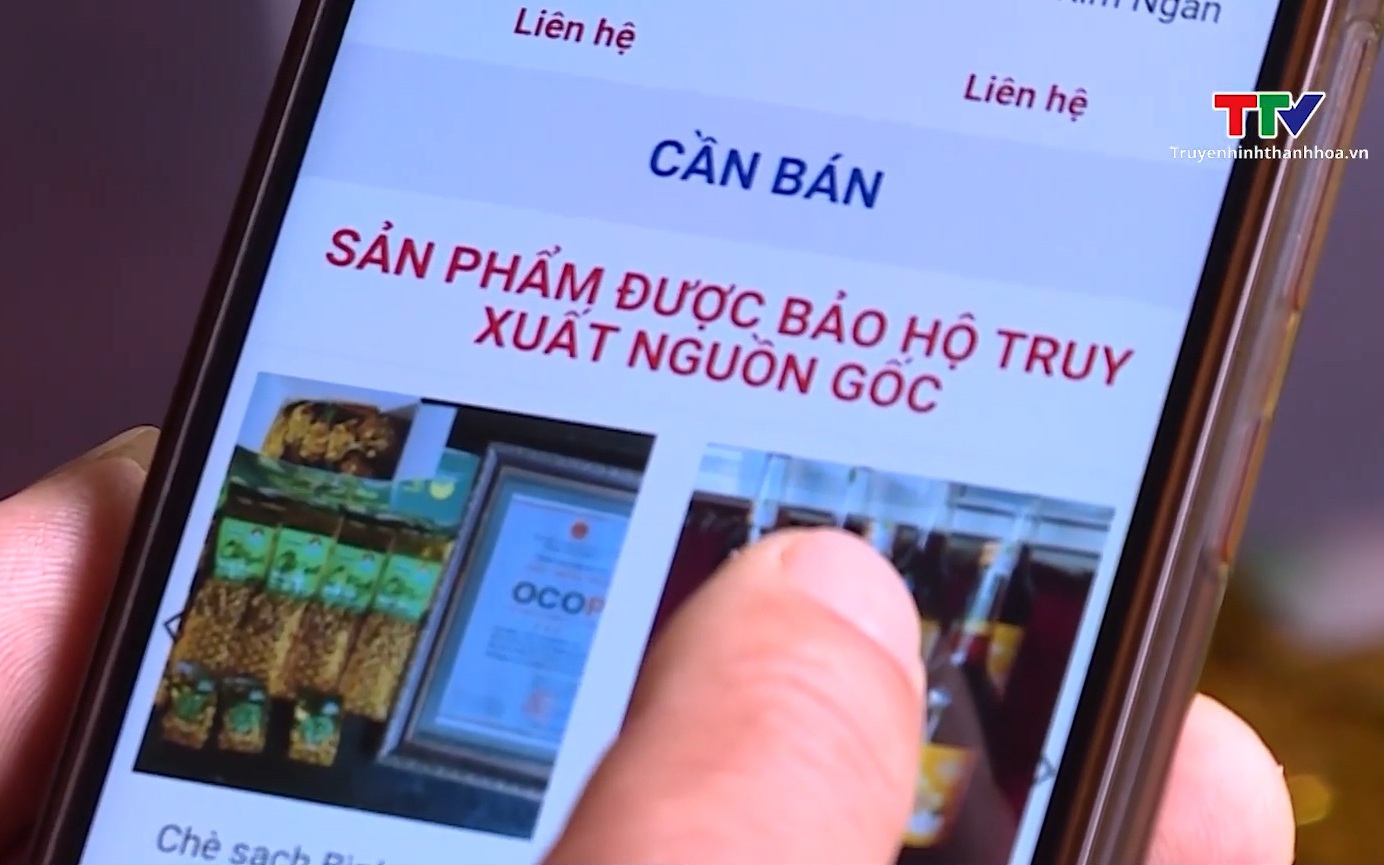 Chủ động sản phẩm tham gia kết nối cung cầu nông sản, thực phẩm an toàn năm 2025- Ảnh 1. Đẩy mạnh tiêu thụ nông sản qua kênh thương mại điện tử