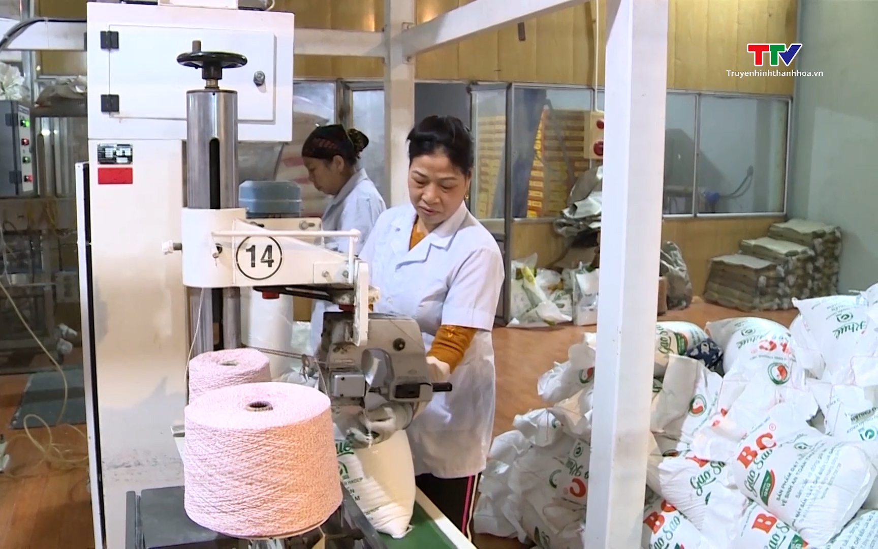 Xuất khẩu cà phê lập kỷ lục mới, doanh nghiệp tăng tốc đầu tư- Ảnh 1. Tín hiệu tích cực từ thị trường xuất khẩu gạo cuối năm