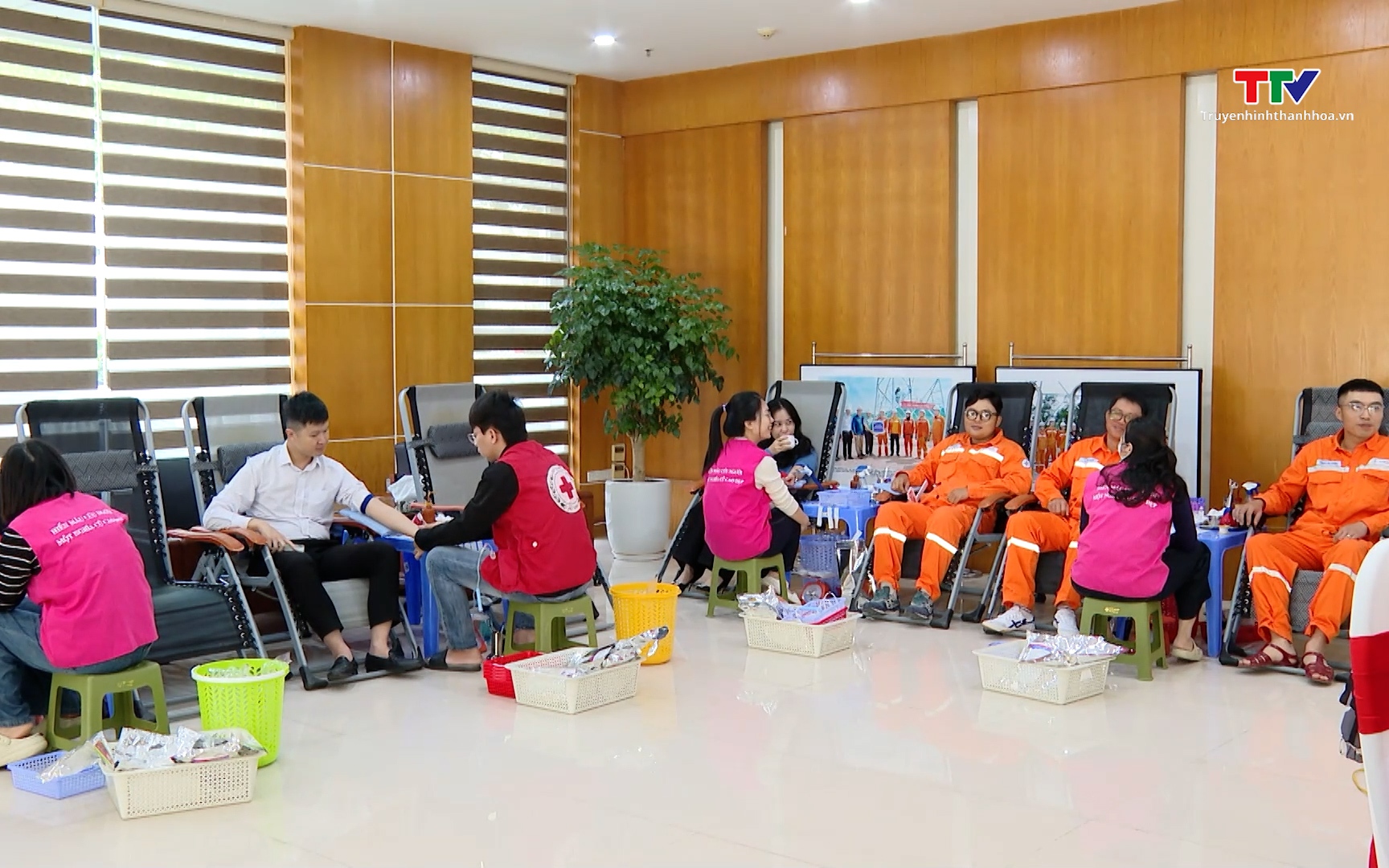 C&ocirc;ng ty Điện lực Thanh H&oacute;a hưởng ứng Tuần lễ hồng EVN lần thứ XI