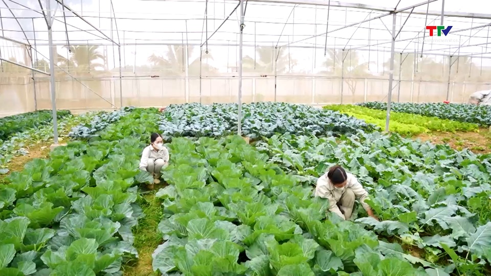 Nông trại Thuận Minh Farm phát triển trồng trọt, chăn nuôi theo mô hình tuần hoàn, khép kín- Ảnh 1.