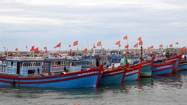 Chỉ thị về việc tăng cường công tác quản lý tàu cá, đảm bảo an toàn cho người và tàu cá hoạt động thủy sản trên địa bàn tỉnh Thanh Hóa- Ảnh 1.