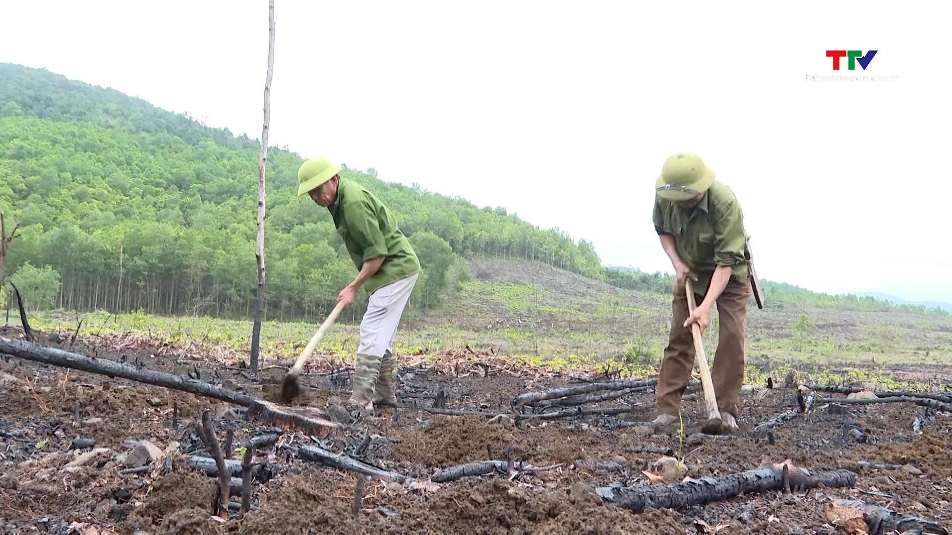 Tiếp tục ưu tiên nguồn vốn với lãi suất ưu đãi  cho ngành nông – lâm - thủy sản- Ảnh 1.