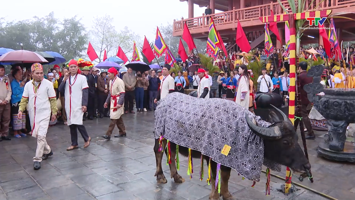 Lễ hội Dâng trâu tế trời Đền Chín Gian hướng tới Di sản văn hóa phi vật thể quốc gia- Ảnh 1.