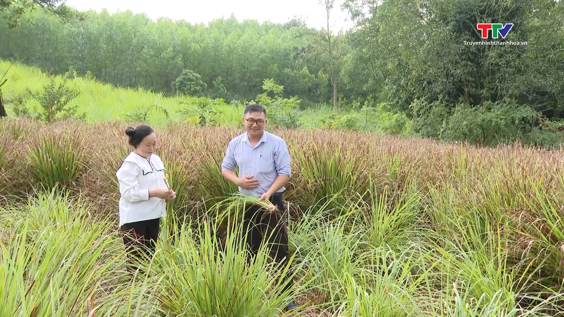 Nguồn vốn tài chính vi mô góp phần phát triển kinh tế địa phương- Ảnh 6.