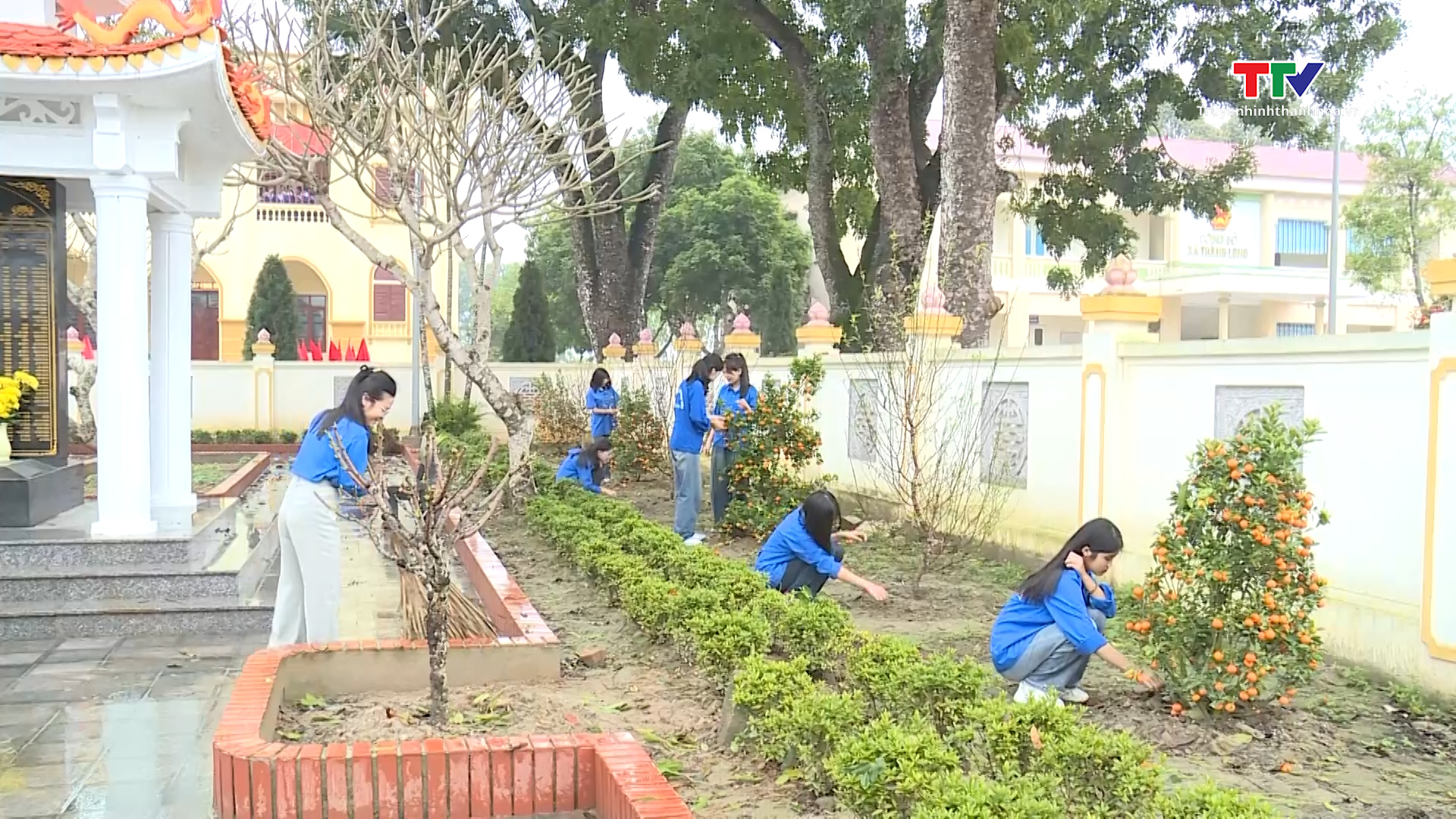 Những tuyến đường trồng đào, quất sau Tết- Ảnh 8.