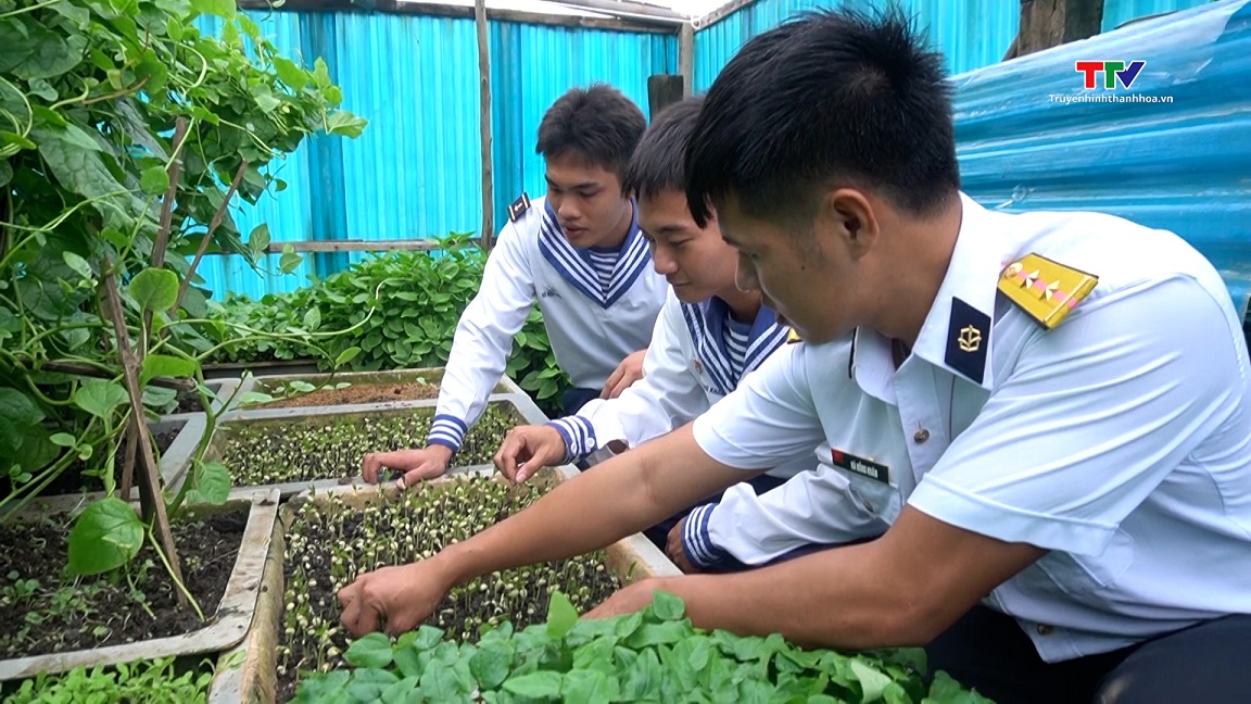 Ươm lên màu xanh nơi biển đảo- Ảnh 1.