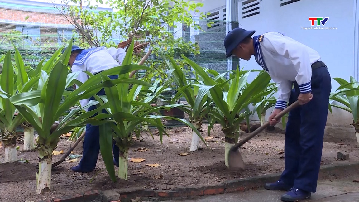 Ươm lên màu xanh nơi biển đảo- Ảnh 2.