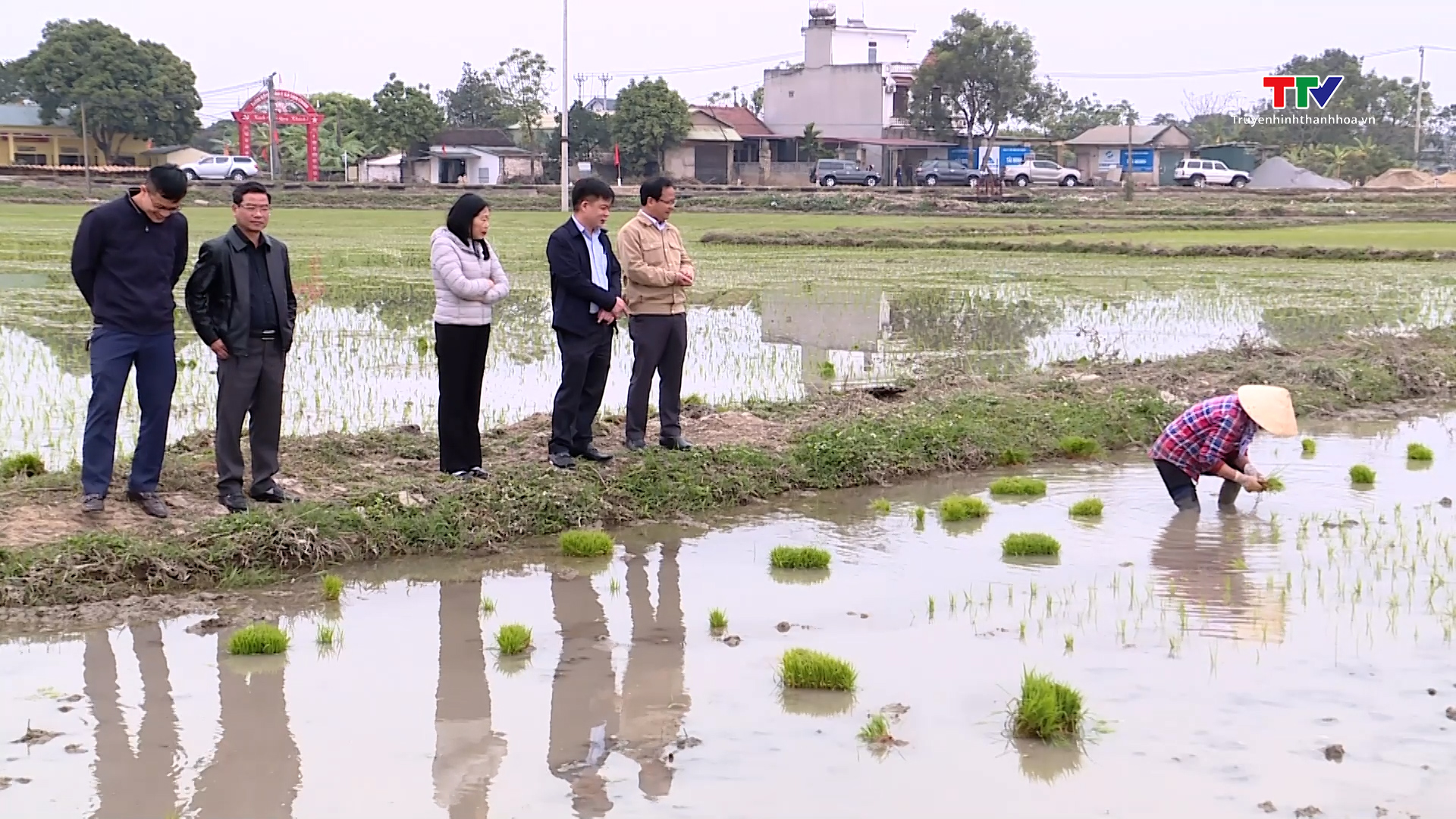 Tập trung sản xuất vụ chiêm xuân 2025- Ảnh 2.