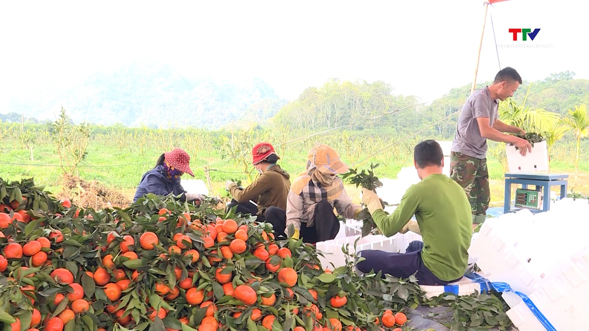 Bảo tồn, phát triển giống cây trồng nguồn gốc bản địa- Ảnh 2.