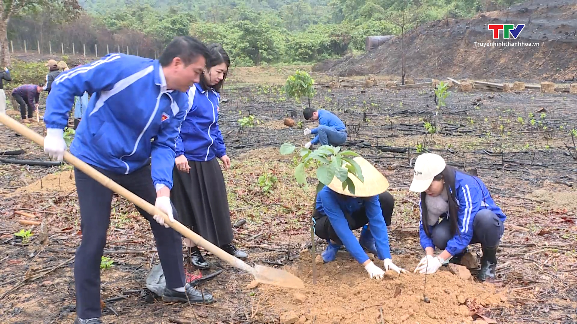 Đoàn khối cơ quan và doanh nghiệp tỉnh Thanh Hoá hưởng ứng Tết trồng cây- Ảnh 1.