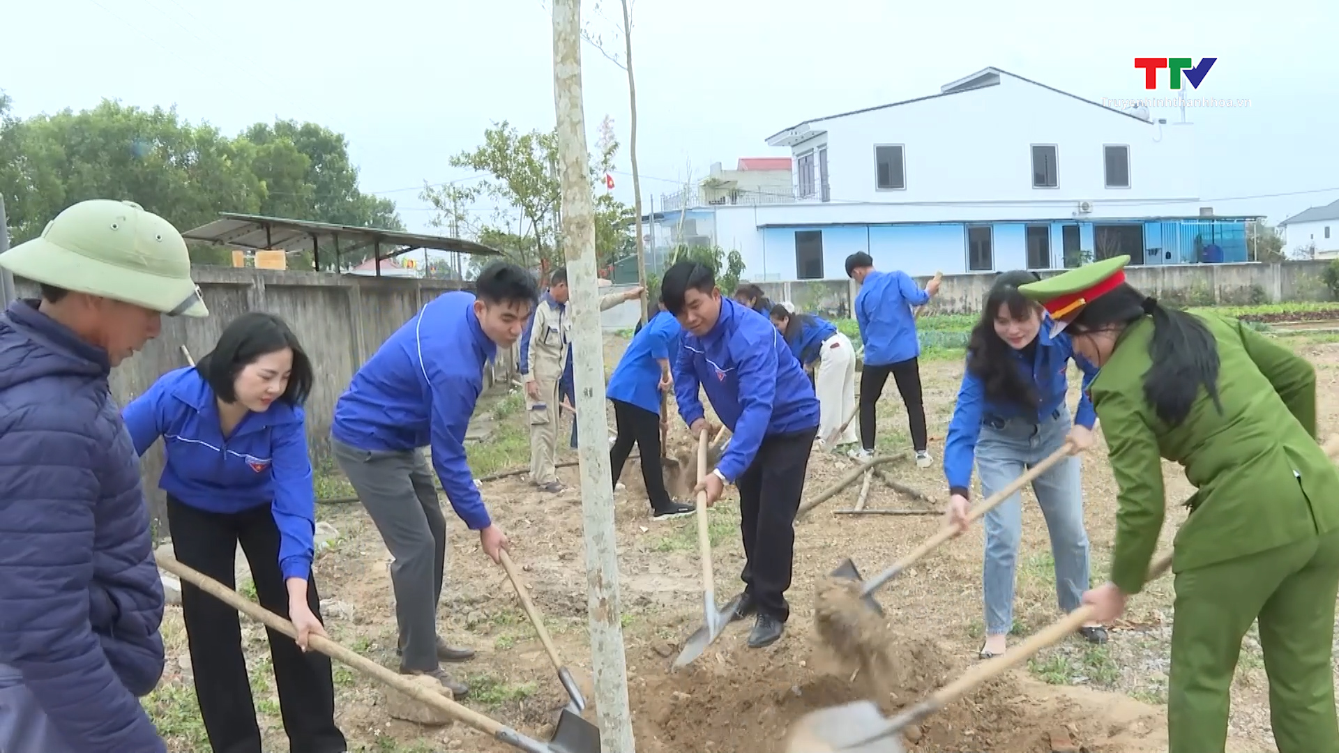 Giữ nét đẹp "Tết trồng cây"- Ảnh 1.