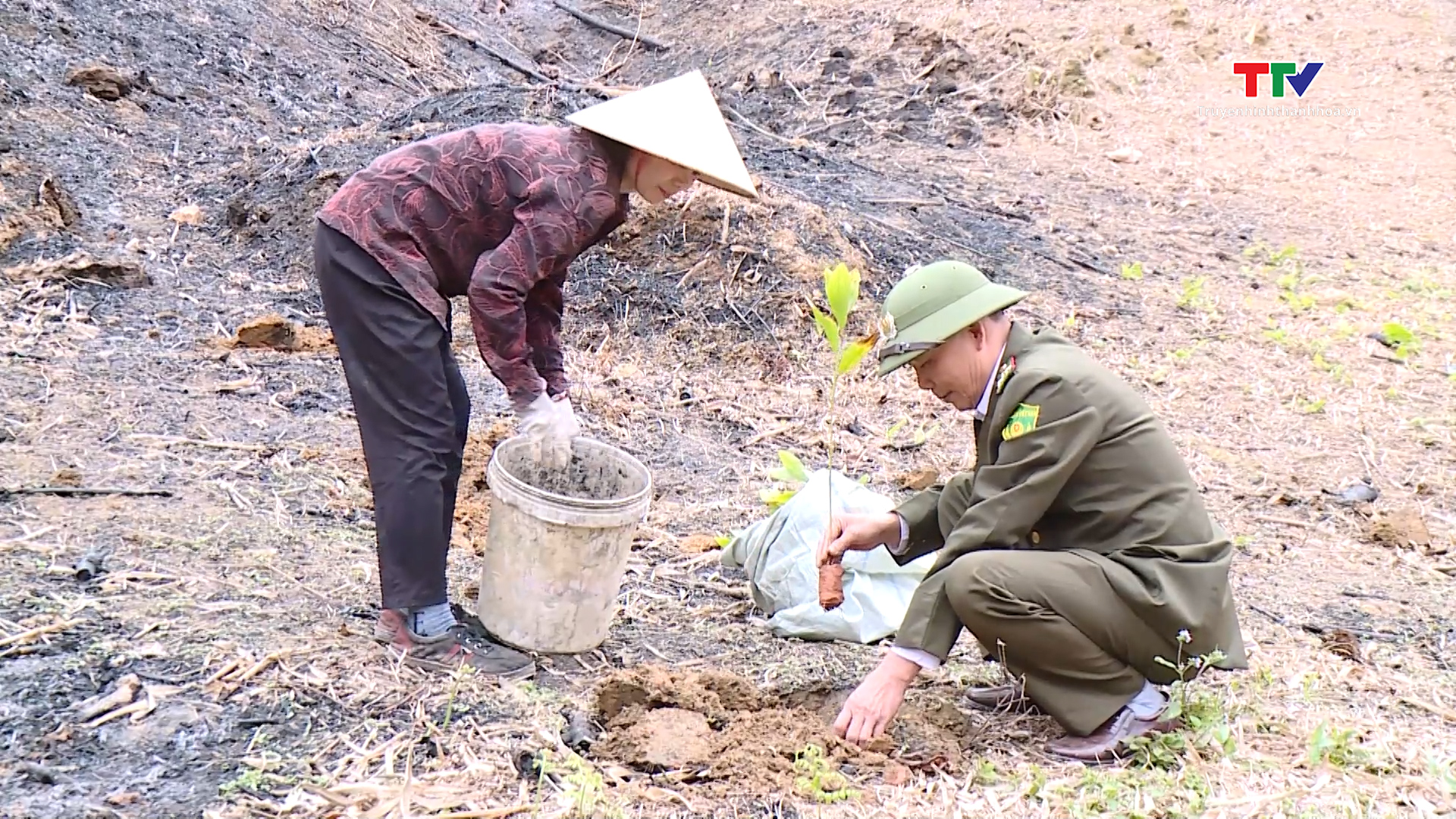 Giữ nét đẹp "Tết trồng cây"- Ảnh 8.