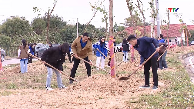 Thanh Hoá đặt mục tiêu trồng trên 3 triệu cây xanh dịp Tết trồng cây Xuân Ất Tỵ- Ảnh 1.