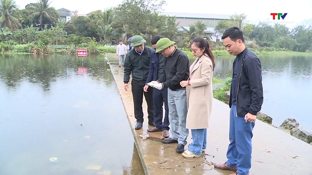 Điều tra nguyên nhân ô nhiễm nguồn nước khiến cá chết ở suối Cổ Đam- Ảnh 1.