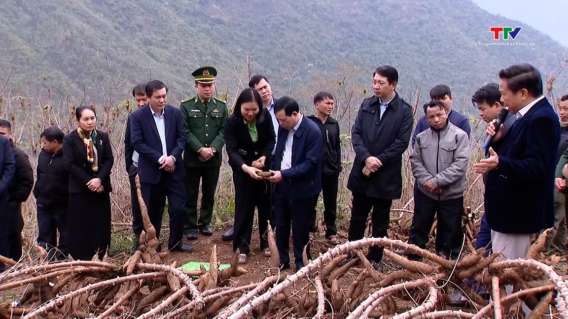 Phó Bí thư Thường trực Tỉnh uỷ Lại Thế Nguyên làm việc tại huyện Mường Lát- Ảnh 2.