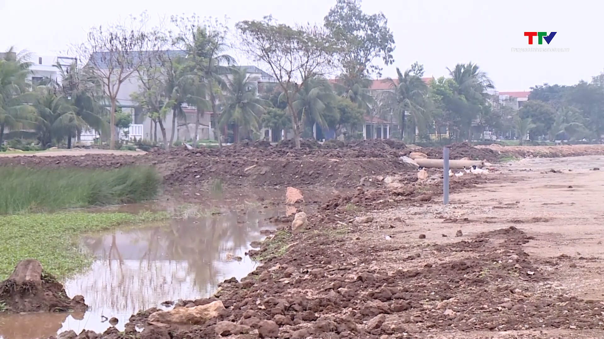 Gỡ khó giải phóng mặt bằng dự án từ khu công nghiệp Bỉm Sơn đến đường bộ ven biển huyện Nga Sơn- Ảnh 1.