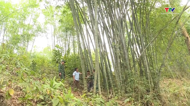 Bộ đội Biên phòng Hiền Kiệt - điểm tựa phát triển vùng biên- Ảnh 1.