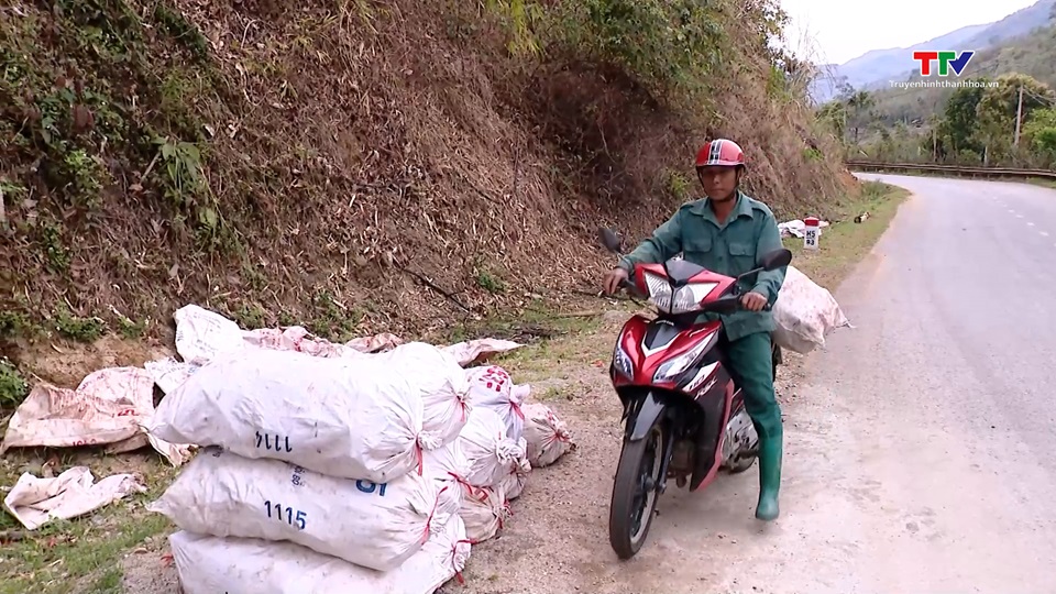 Phát huy vai trò cây chủ lực trong phát triển kinh tế
 tại huyện Mường Lát- Ảnh 3.