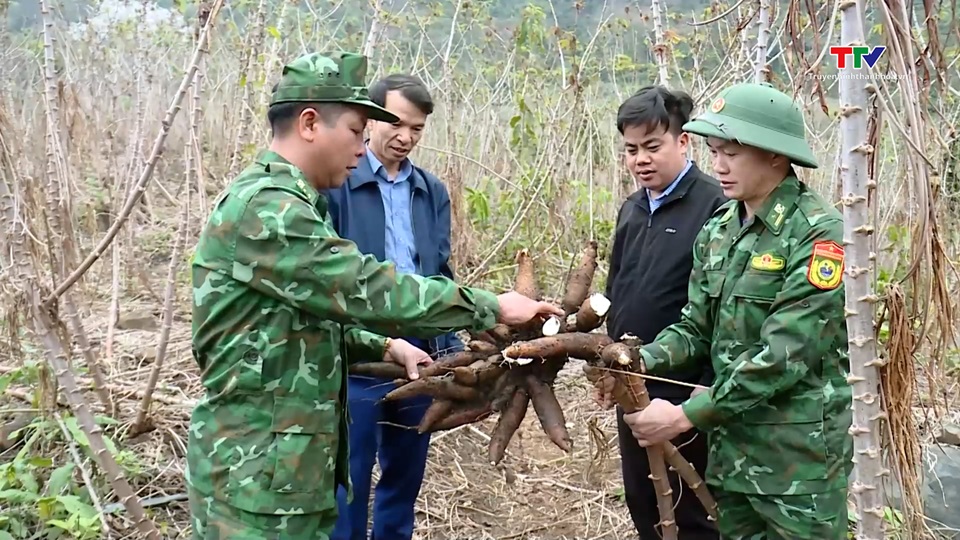 Phát huy vai trò cây chủ lực trong phát triển kinh tế
 tại huyện Mường Lát- Ảnh 7.