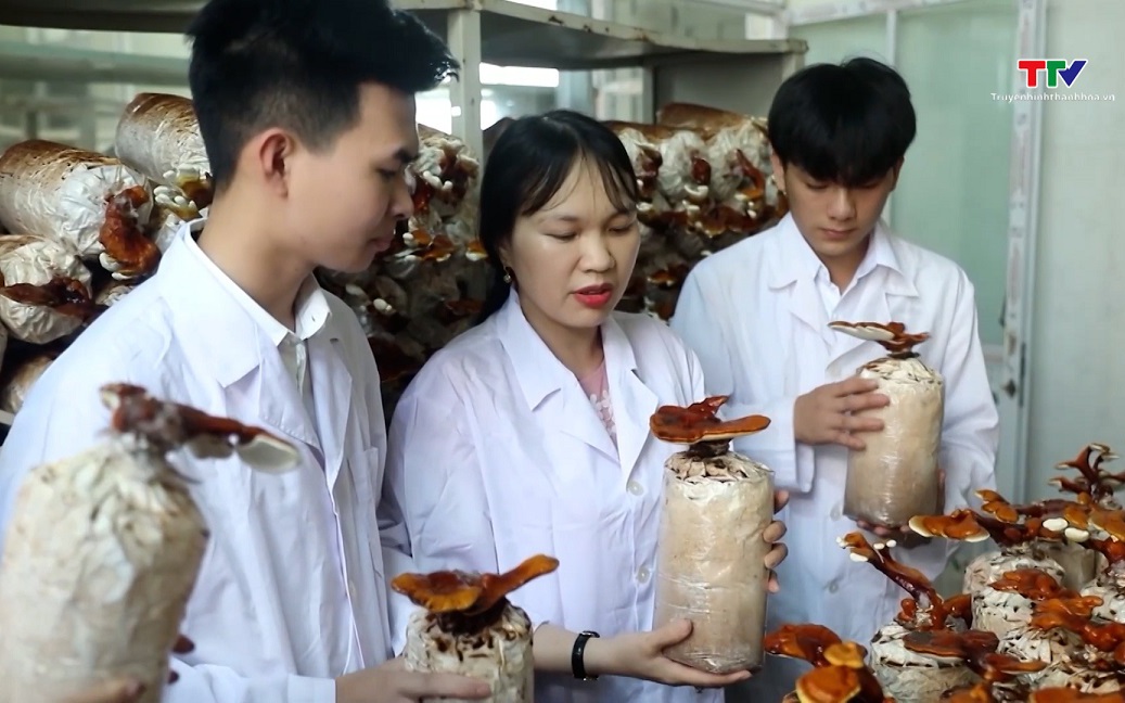 Đột phá phát triển khoa học, công nghệ và đổi mới sáng tạo