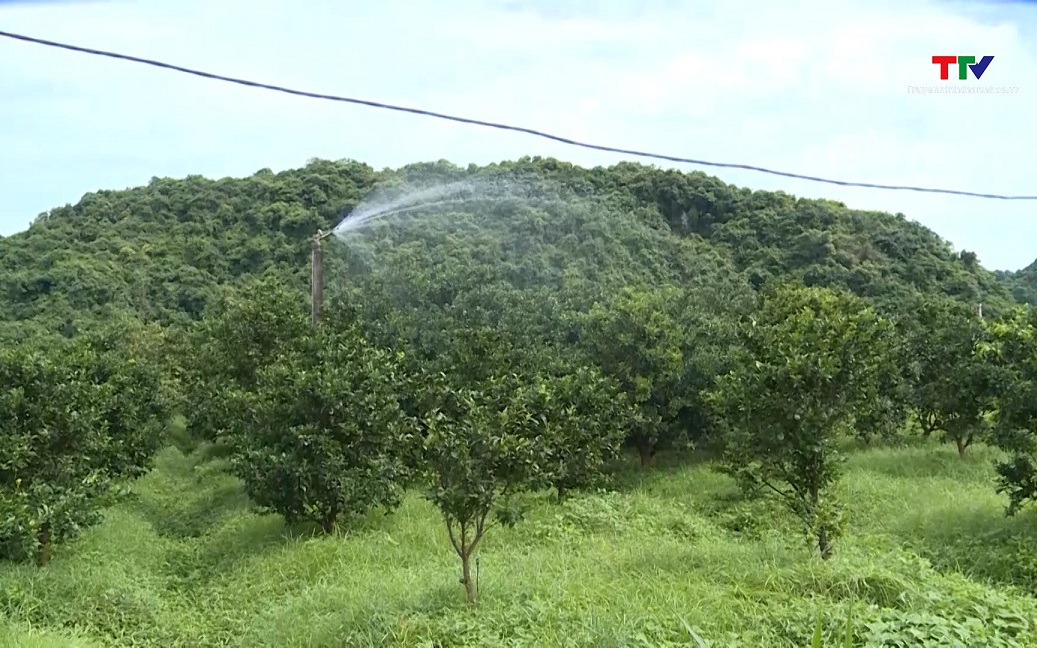 Thu hút đầu tư phát triển nông nghiệp công nghệ cao