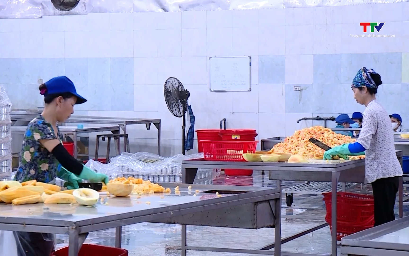 Thanh Hoá: Hoạt động xuất khẩu hàng hoá duy trì đà tăng trưởng