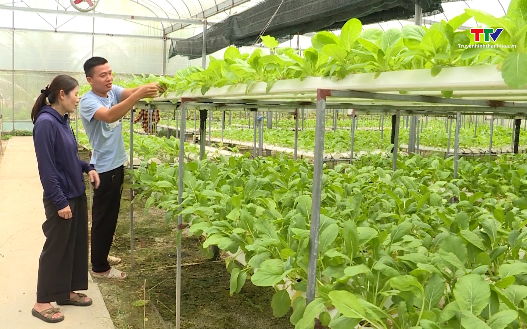 Hỗ trợ Nông dân ứng dụng khoa học - kỹ thuật vào sản xuất