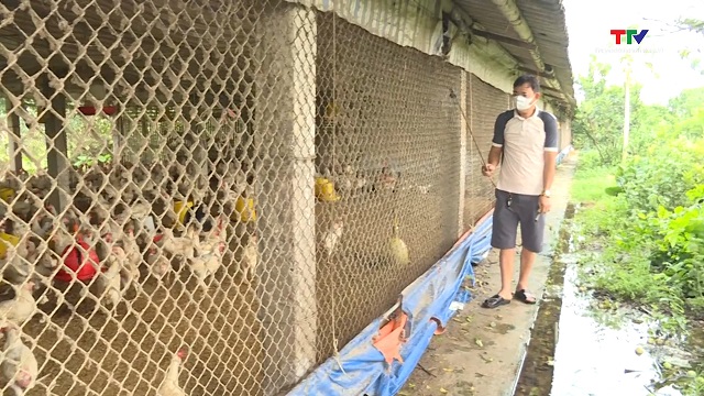 Vệ sinh, khử trùng tiêu độc môi trường phòng, chống dịch bệnh gia súc, gia cầm- Ảnh 1. Vệ sinh, khử trùng tiêu độc môi trường phòng, chống dịch bệnh gia súc, gia cầm- Ảnh 1.