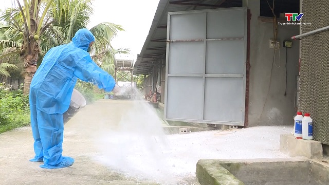 Vệ sinh, khử trùng tiêu độc môi trường phòng, chống dịch bệnh gia súc, gia cầm- Ảnh 2. Vệ sinh, khử trùng tiêu độc môi trường phòng, chống dịch bệnh gia súc, gia cầm- Ảnh 2.