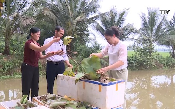 Hội Nông dân Thanh Hóa phối hợp với doanh nghiệp hỗ trợ, liên kết sản xuất nông nghiệp