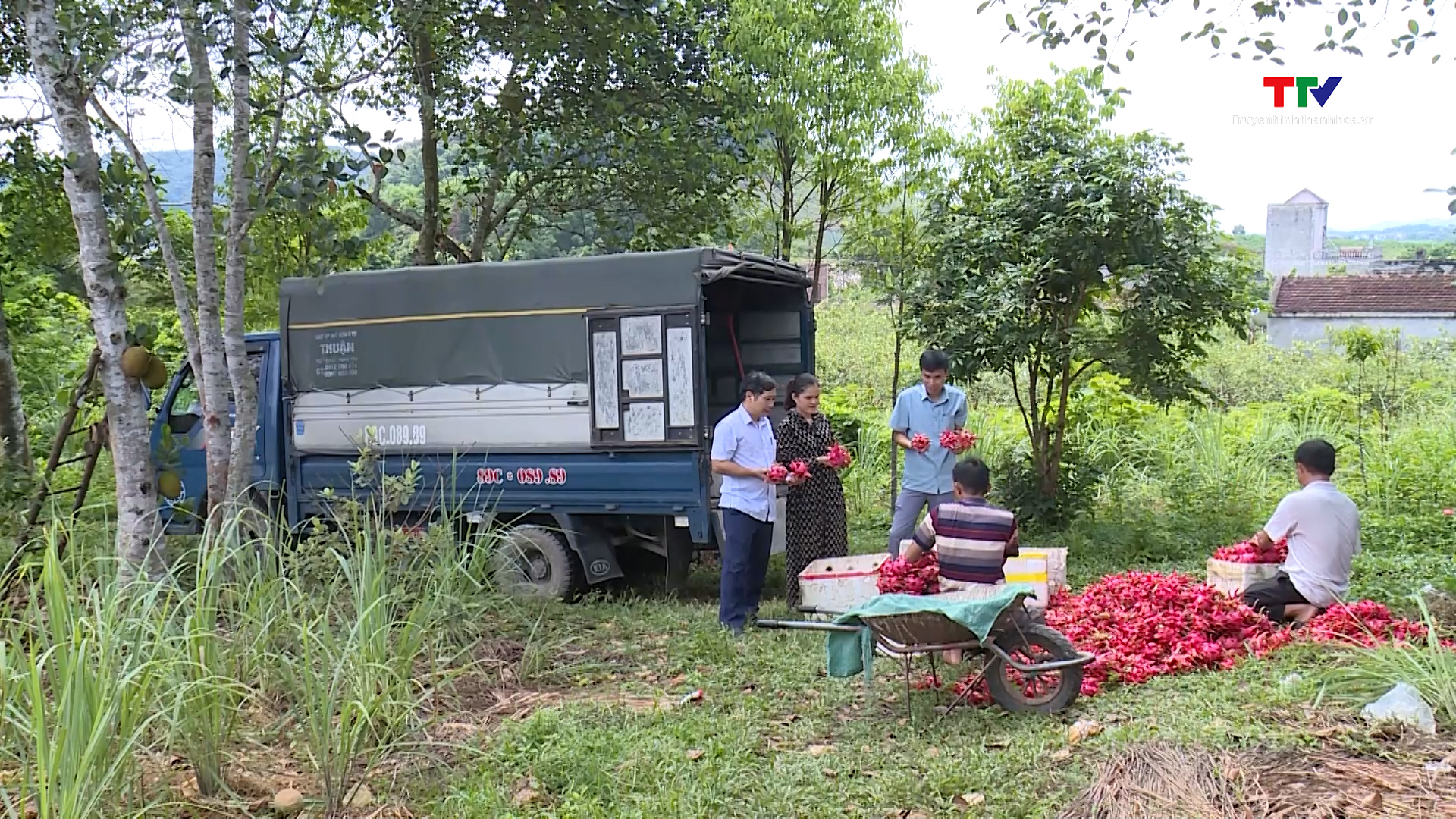 Hội nông dân Thanh Hóa đóng góp tích cực trong phát triển kinh tế tập thể- Ảnh 1.