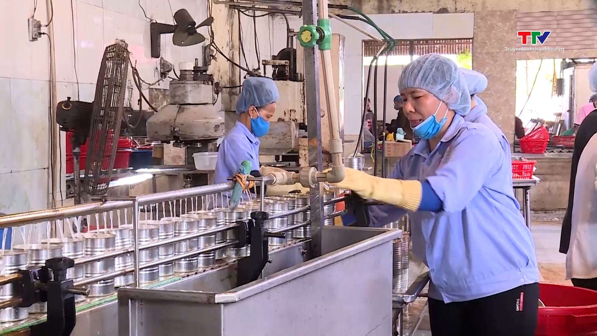 Kinh tế tư nhân đóng góp gần 59% GRDP của Thanh Hóa- Ảnh 1.