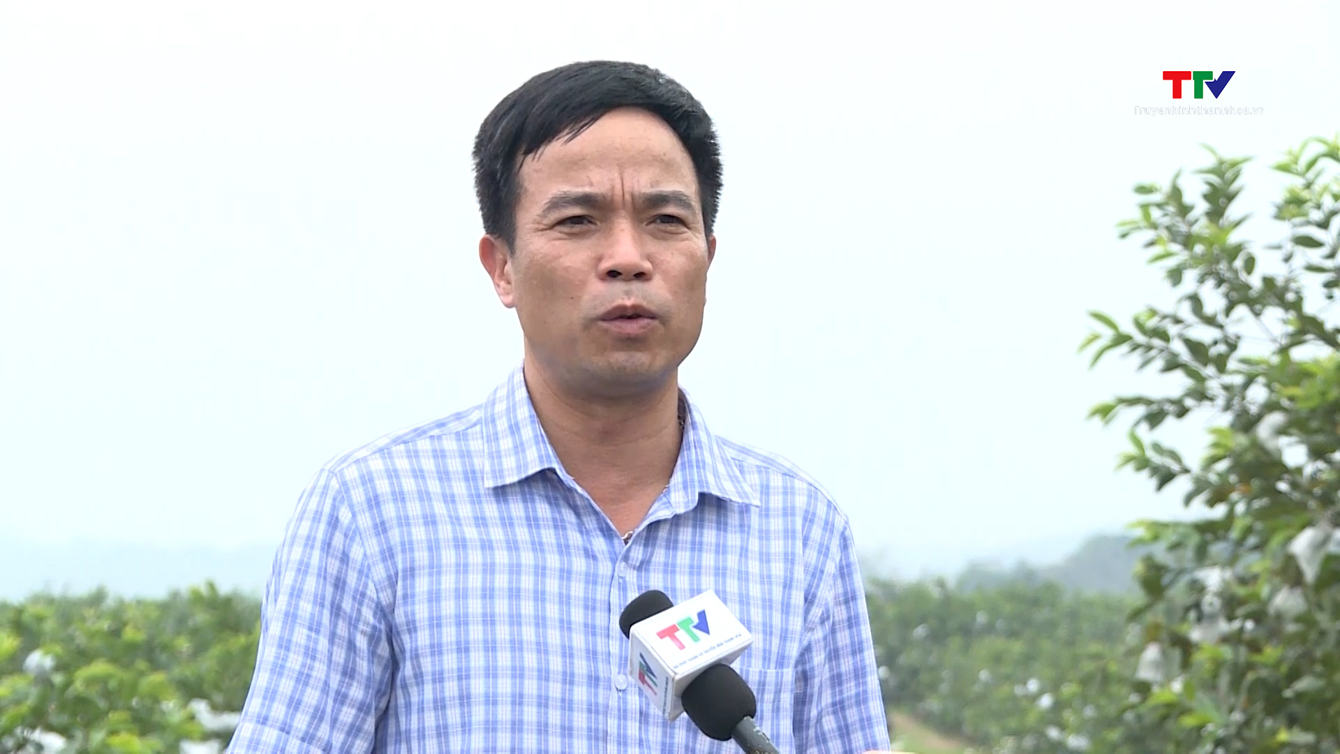 Hội nông dân Thanh Hóa đóng góp tích cực trong phát triển kinh tế tập thể- Ảnh 2.