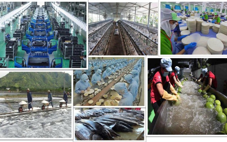 Tổng Bí thư Tô Lâm và tư duy lý luận mới về kinh tế tư nhân- Ảnh 4. Tổng Bí thư Tô Lâm và tư duy lý luận mới về kinh tế tư nhân- Ảnh 4.