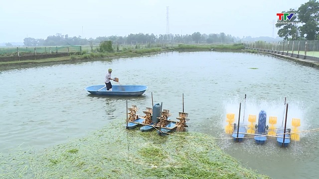 Phát triển nuôi trồng thủy sản nước ngọt- Ảnh 1. Phát triển nuôi trồng thủy sản nước ngọt- Ảnh 1.