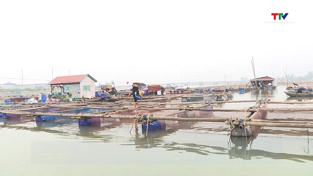 Thị xã Nghi Sơn xử lý trên 3.300 lồng, bè nuôi trồng thủy sản tự phát- Ảnh 1. Thị xã Nghi Sơn xử lý trên 3.300 lồng, bè nuôi trồng thủy sản tự phát- Ảnh 1.