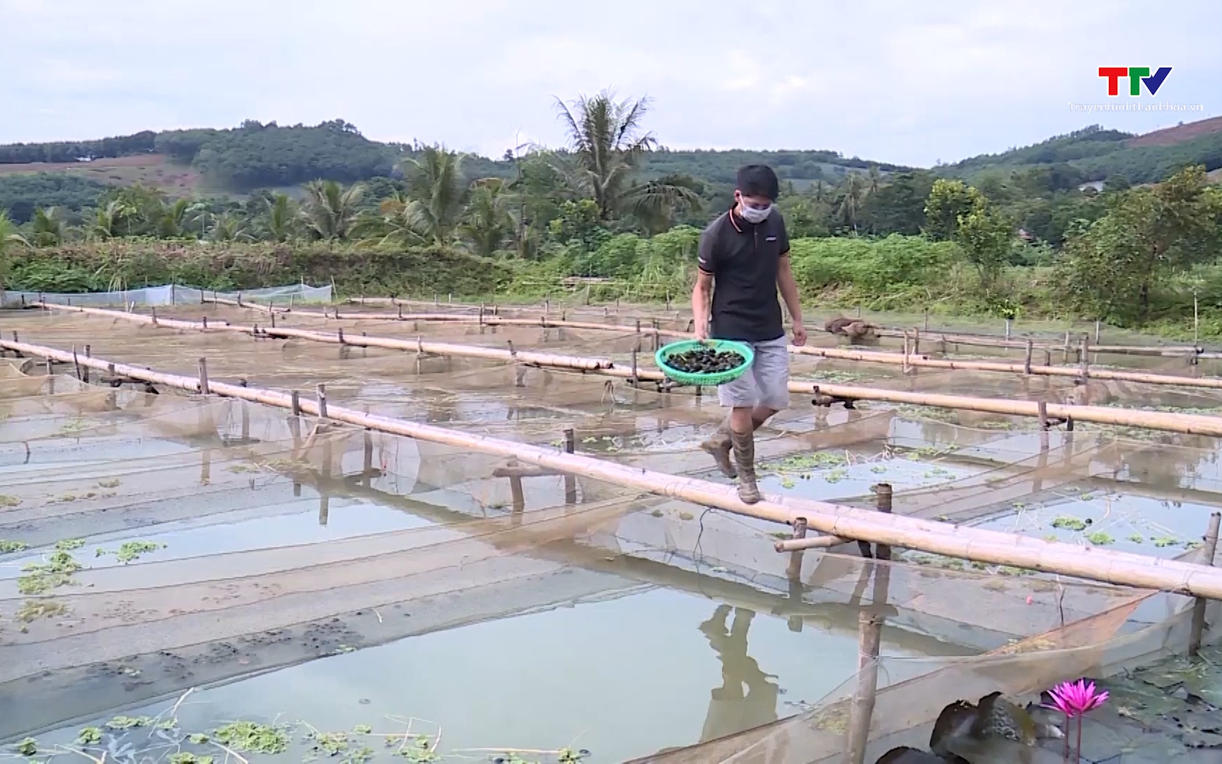 Hỗ trợ hội viên phát triển kinh tế,  vươn lên làm giàu