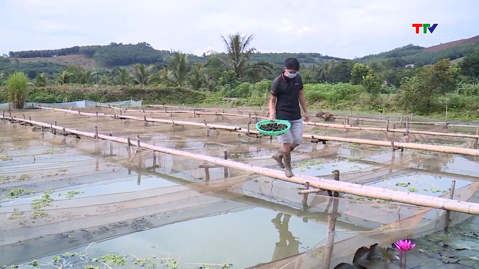Hỗ trợ hội viên phát triển kinh tế, vươn lên làm giàu- Ảnh 2. Hỗ trợ hội viên phát triển kinh tế, vươn lên làm giàu- Ảnh 2.
