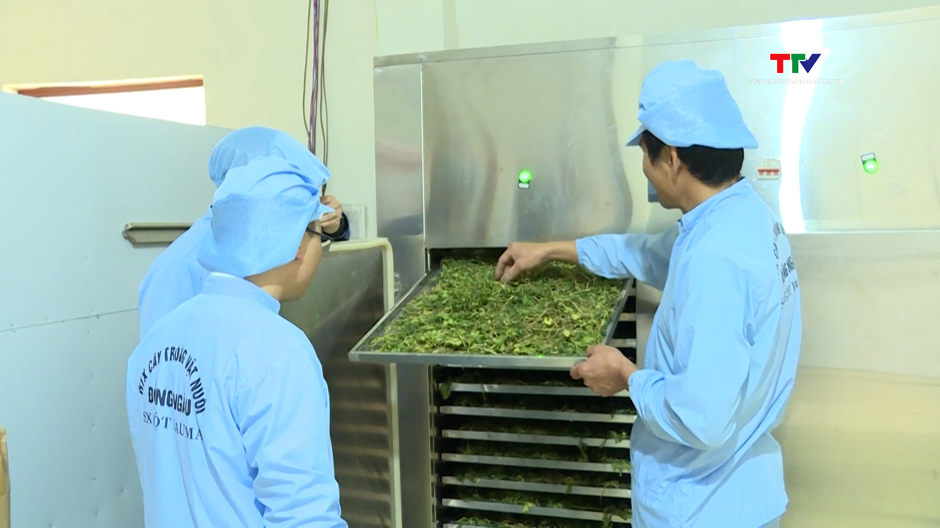 Ứng dụng khoa học - kỹ thuật, nâng cao chất lượng sản phẩm OCOP sau đạt chuẩn- Ảnh 4. Ứng dụng khoa học - kỹ thuật, nâng cao chất lượng sản phẩm OCOP sau đạt chuẩn- Ảnh 4.