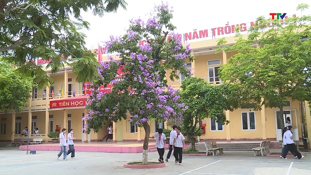 Thanh Hoá sẽ hoàn thành tuyển sinh đầu cấp trước ngày 30/6- Ảnh 1.