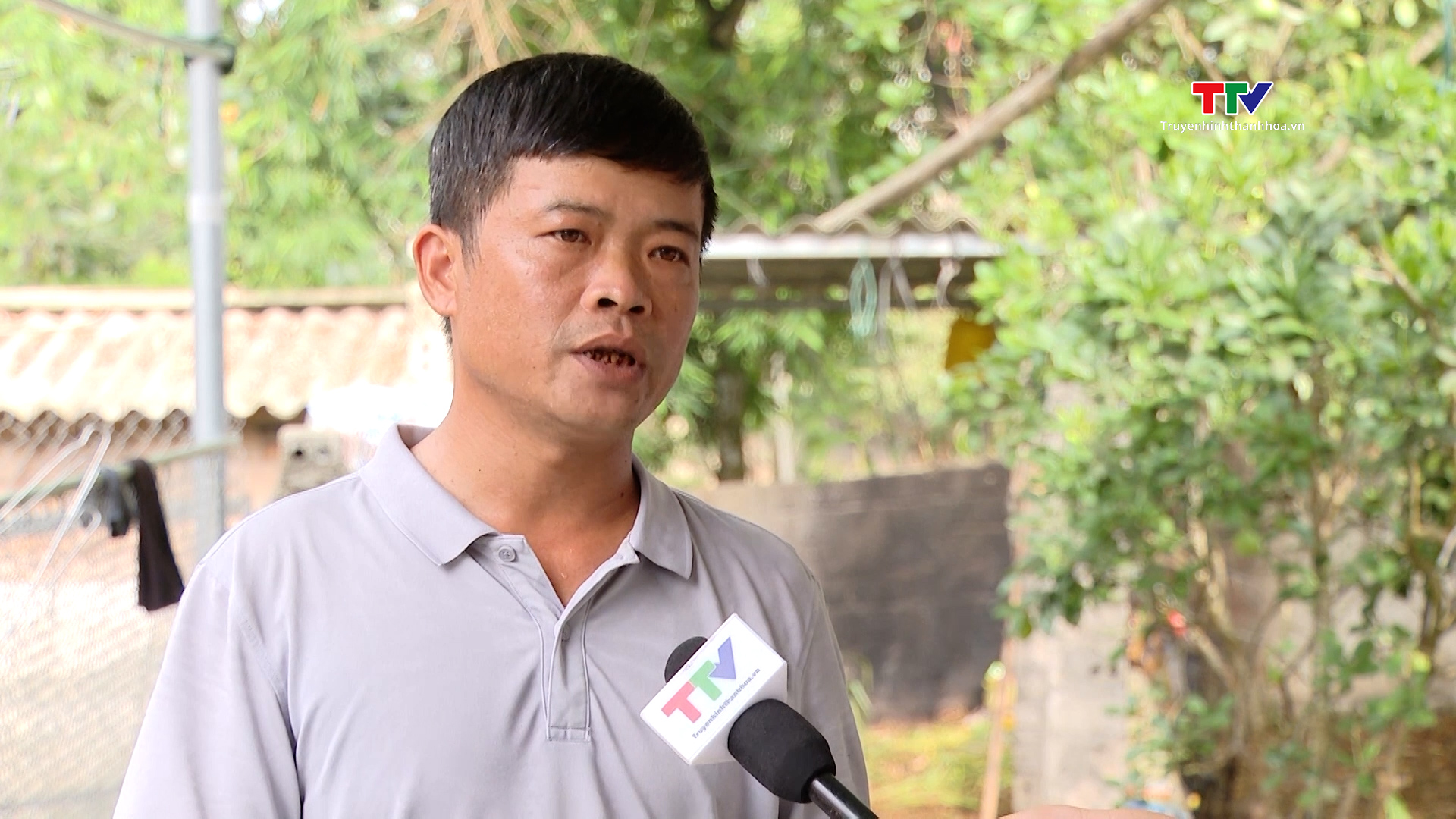 Vốn tín dụng chính sách thúc đẩy phát triển kinh tế xã hội tại huyện Thạch Thành- Ảnh 2. Vốn tín dụng chính sách thúc đẩy phát triển kinh tế xã hội tại huyện Thạch Thành- Ảnh 2.