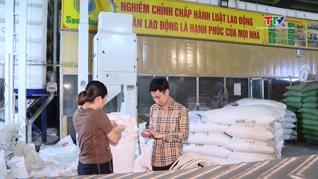 Dự báo Việt Nam sẽ là nước xuất khẩu và nhập khẩu gạo lớn thứ 2 thế giới- Ảnh 1. Dự báo Việt Nam sẽ là nước xuất khẩu và nhập khẩu gạo lớn thứ 2 thế giới- Ảnh 1.