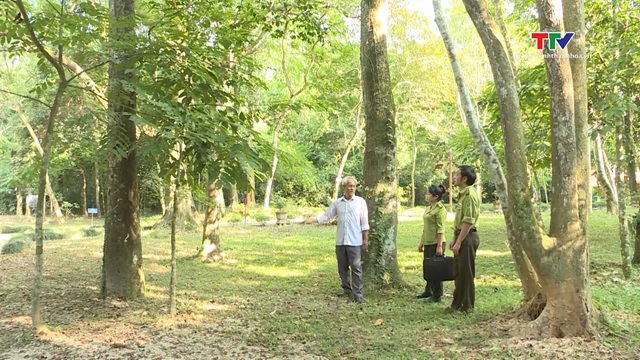 Tăng cường phòng chống cháy rừng ở các khu, điểm du lịch- Ảnh 2. Tăng cường phòng chống cháy rừng ở các khu, điểm du lịch- Ảnh 2.