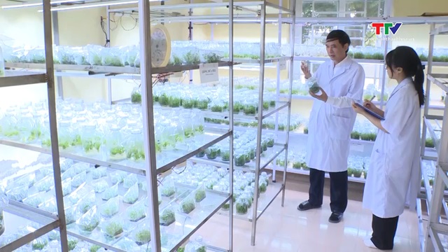 Tăng cường quản lý về nhiệm vụ khoa học và công nghệ- Ảnh 2. Tăng cường quản lý về nhiệm vụ khoa học và công nghệ- Ảnh 2.