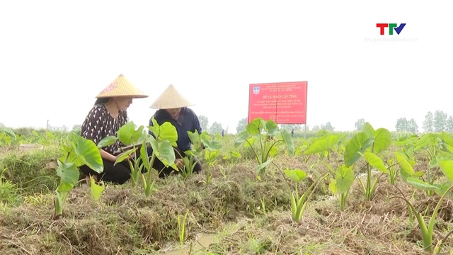 Tăng cường quản lý về nhiệm vụ khoa học và công nghệ- Ảnh 1. Tăng cường quản lý về nhiệm vụ khoa học và công nghệ- Ảnh 1.