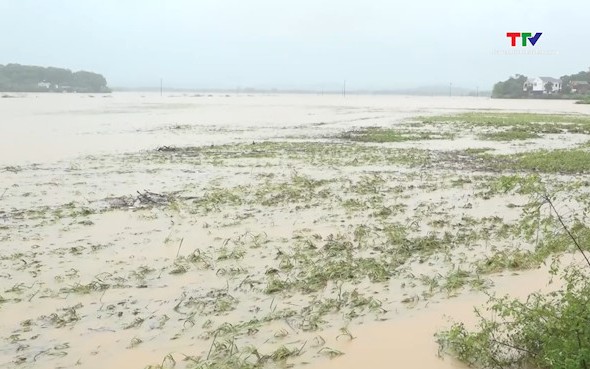 Cảnh báo lũ quét, sạt lở đất, sụt lún đất do mưa lũ hoặc dòng chảy tỉnh Thanh Hóa